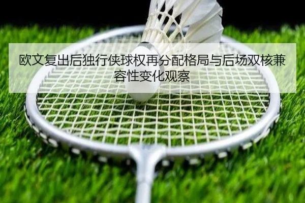 欧文复出后独行侠球权再分配格局与后场双核兼容性变化观察