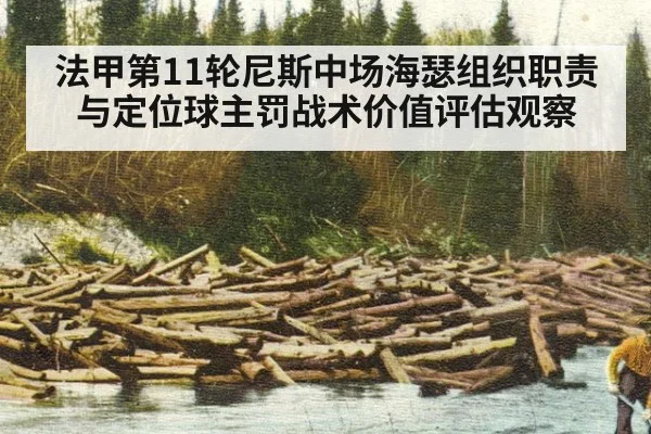 法甲第11轮尼斯中场海瑟组织职责与定位球主罚战术价值评估观察